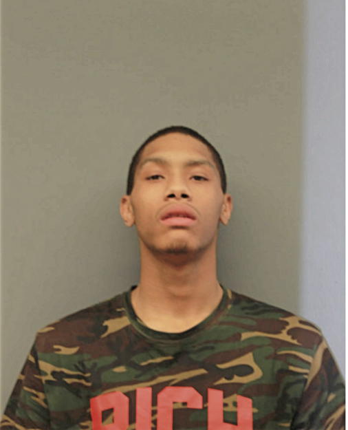 TAVON D WILLIAMS, Cook County, Illinois