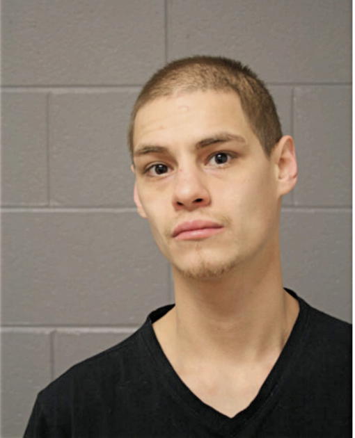 VINCENT A ALVAREZ, Cook County, Illinois