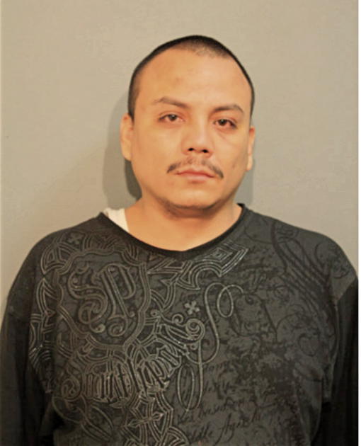 ROBERT M ANAYA, Cook County, Illinois