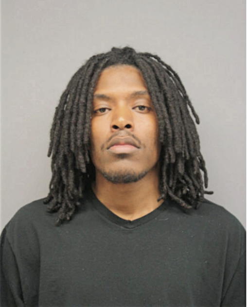 LEE A BROWN, Cook County, Illinois
