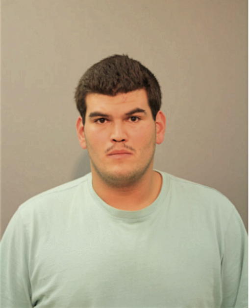 LUIS A CORTEZ, Cook County, Illinois