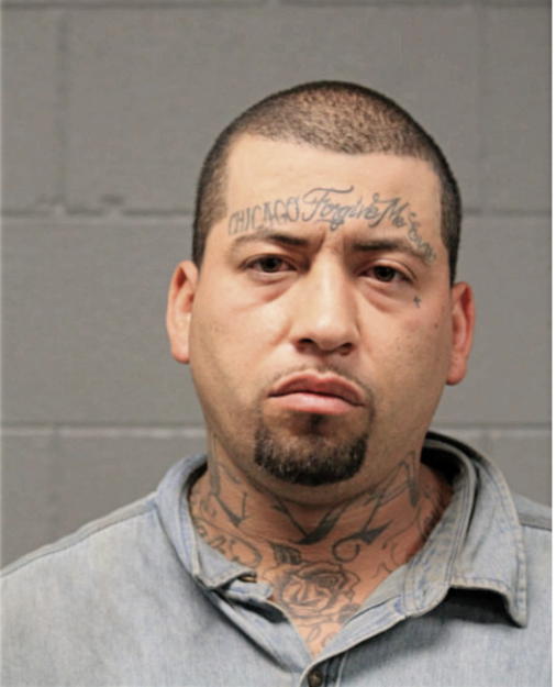 DAVID J CULLINAN, Cook County, Illinois