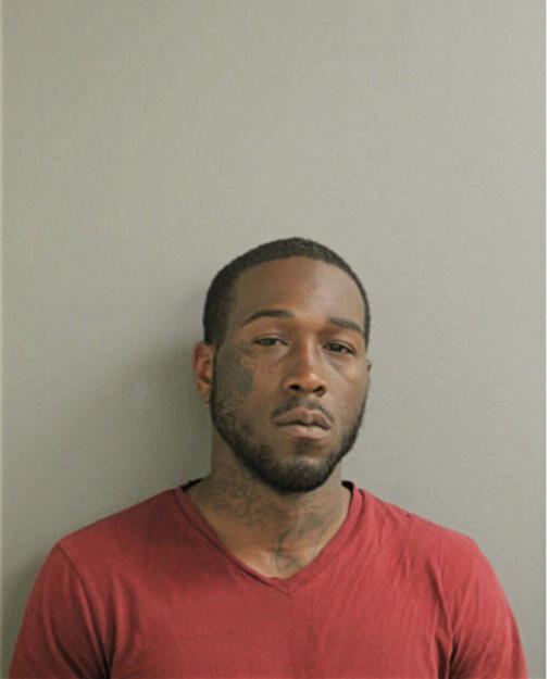 THEO DAVIS, Cook County, Illinois