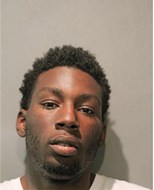 WALTER R DIGGS, Cook County, Illinois