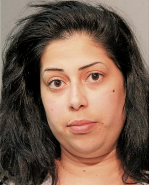 JOHANDRA C FALCON, Cook County, Illinois