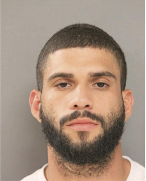 CARLOS FERNANDEZ-MERCADO, Cook County, Illinois