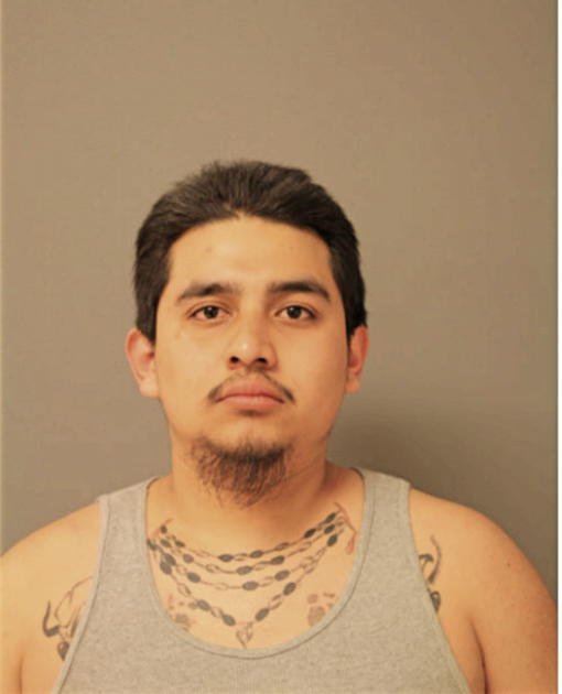 ENRIQUE FUENTES, Cook County, Illinois