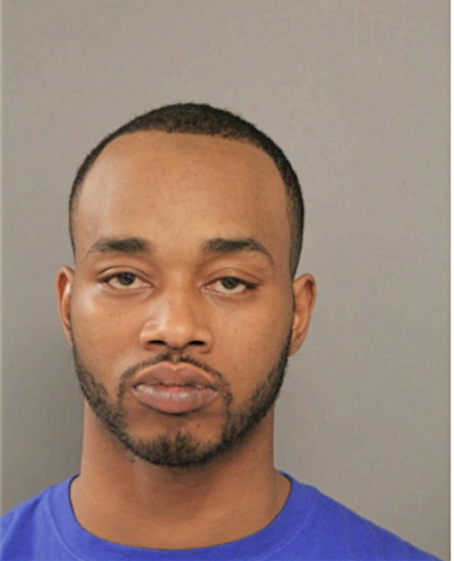 AARON J HAMILTON, Cook County, Illinois
