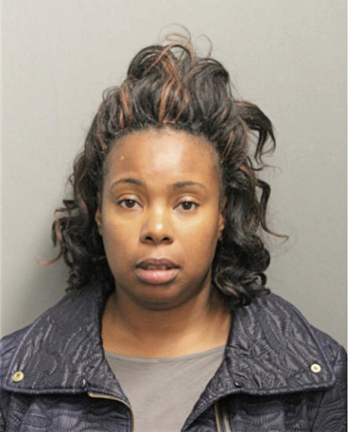 TAMEIKA N HINTON, Cook County, Illinois
