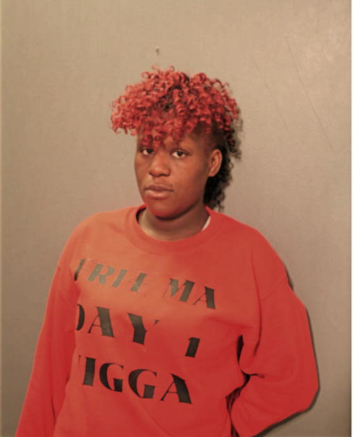 ERICA T JAMES, Cook County, Illinois