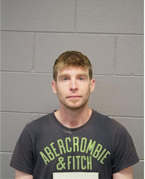 JAMES S JORDAN, Cook County, Illinois