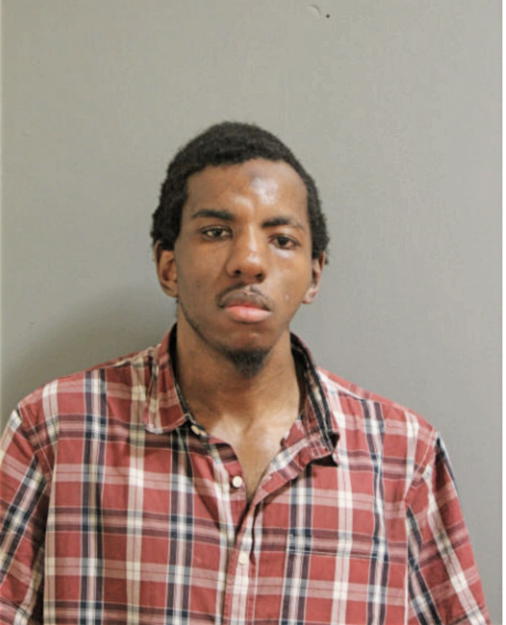 JEFFERY C MARTIN, Cook County, Illinois