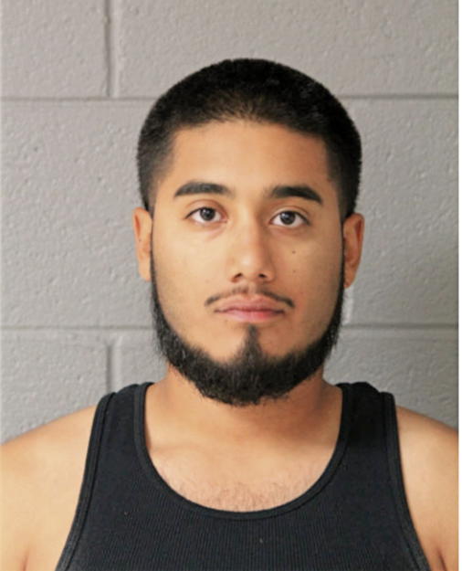 IVAN HECTOR MONTES, Cook County, Illinois