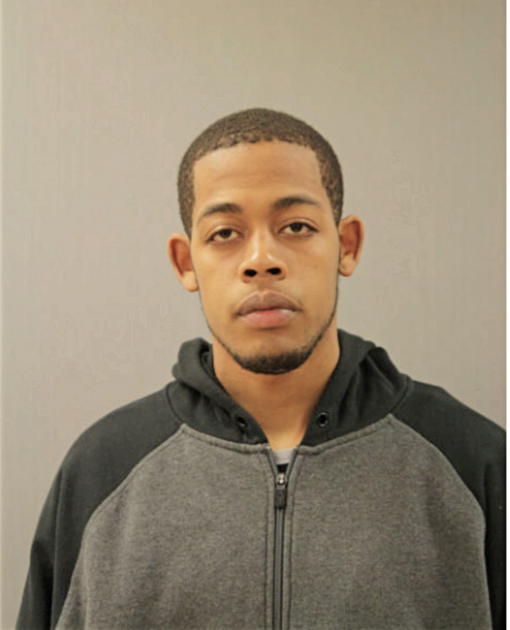 TRAVIS L NORMAN, Cook County, Illinois