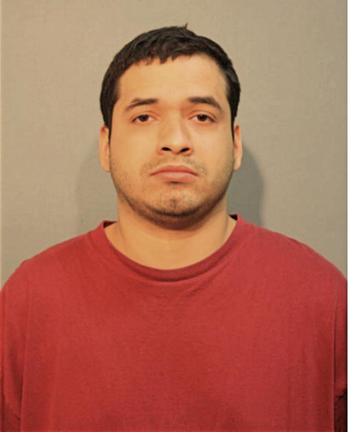 DENNIS J ORTEGA, Cook County, Illinois