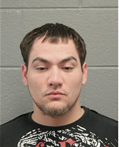 LUIS A PAGAN, Cook County, Illinois