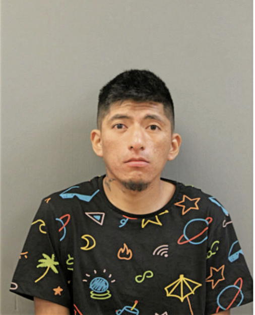 JUAN ANDRES PAUTE CHUCHUCA, Cook County, Illinois
