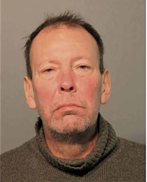 DAVID E PUSCHMANN, Cook County, Illinois