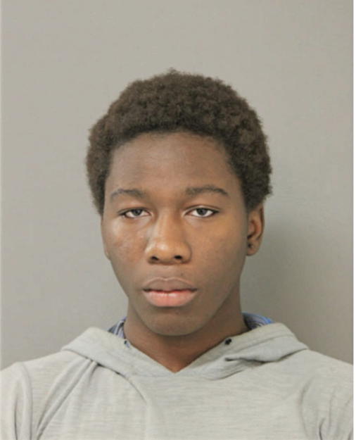 RONTELLE L RANDOLPH, Cook County, Illinois