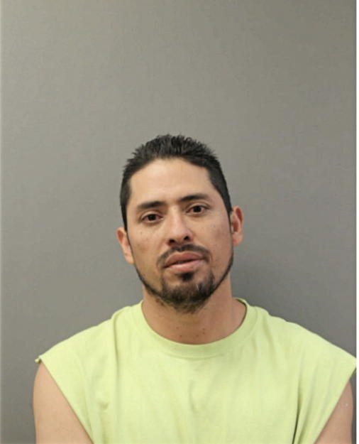 MANUEL L RIVAS, Cook County, Illinois