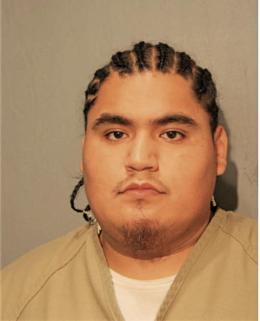 ARMANDO VARGAS, Cook County, Illinois