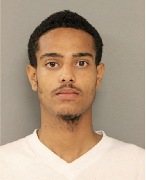 MICHAEL K WILLIAMS, Cook County, Illinois