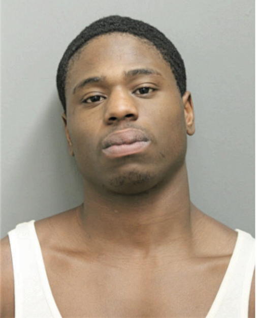 BRYANT T YOUNG, Cook County, Illinois