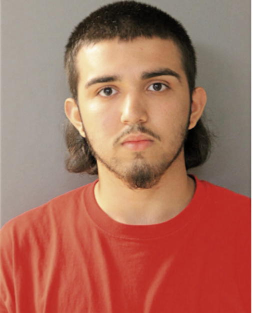 MICHEAL P ZASTRO, Cook County, Illinois