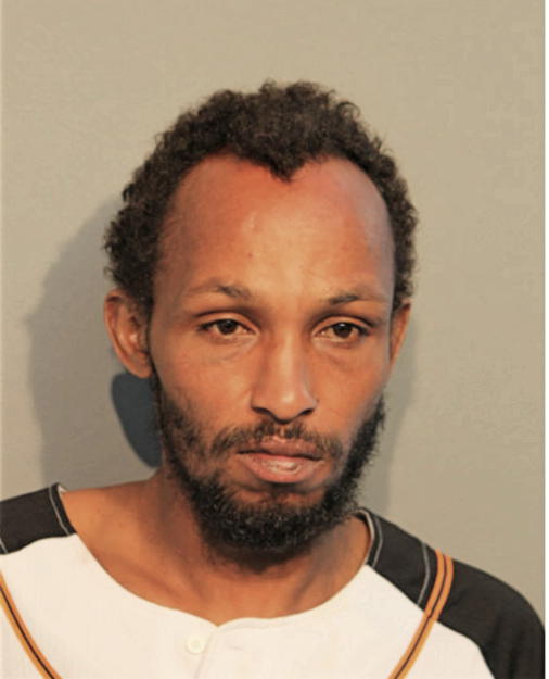 SAID ABDI, Cook County, Illinois