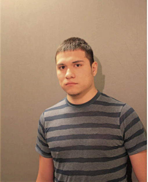 CEASER A ACOSTA, Cook County, Illinois