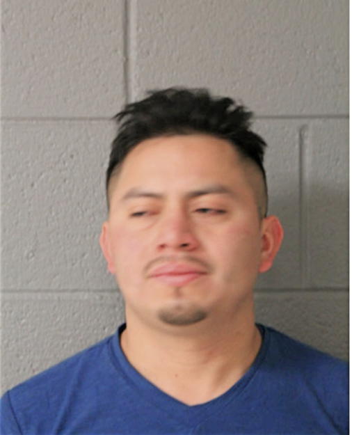 CARLOS A ASIG, Cook County, Illinois