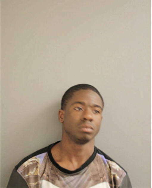 MICHAEL M AUSTIN, Cook County, Illinois