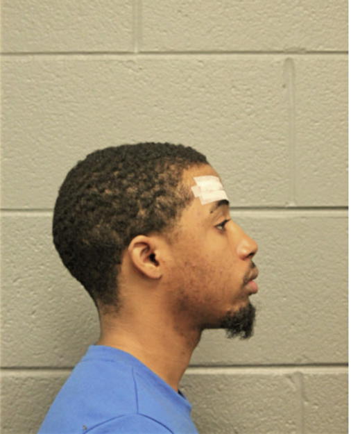 BYRON L BANKSTON, Cook County, Illinois