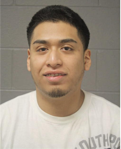 CRISTIAN BRAULIO, Cook County, Illinois