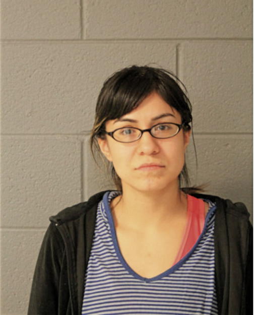 MARLA E CARDENAS, Cook County, Illinois