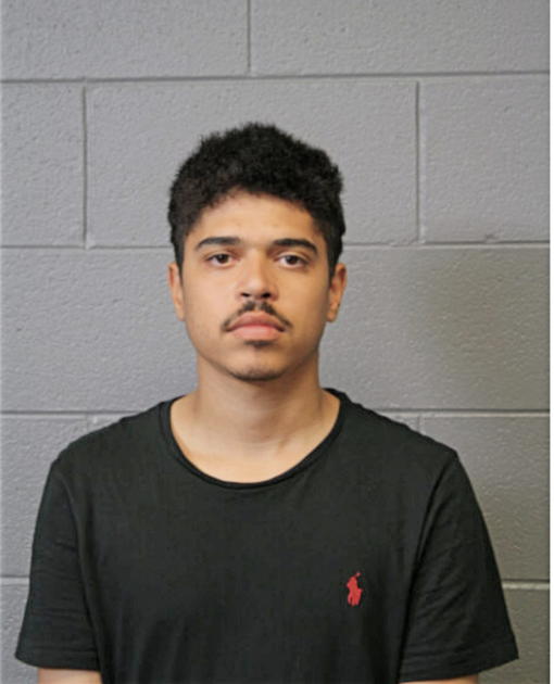 MICHAEL J CARRIG, Cook County, Illinois