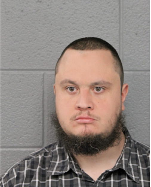 ALEXANDRE M DEALMEIDA, Cook County, Illinois