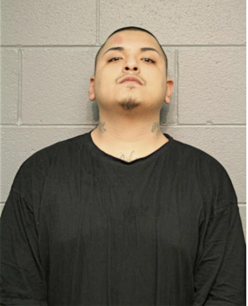 JUAN M DELGADO, Cook County, Illinois
