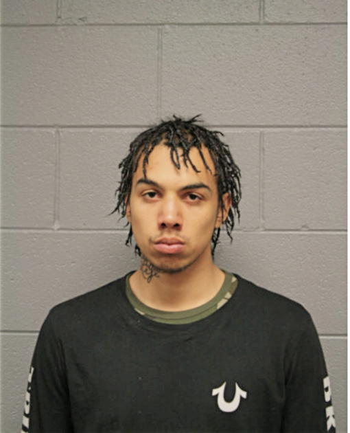 ANTONIO FLORES, Cook County, Illinois
