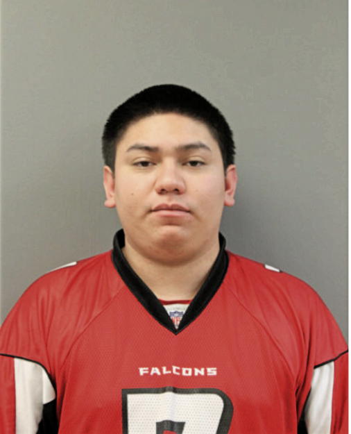 ALEXIS G GARRIDO, Cook County, Illinois