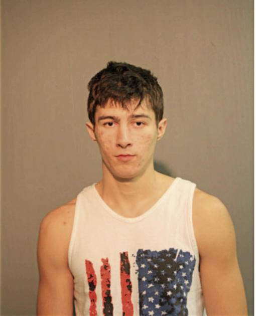 ROMAN GHIMPU, Cook County, Illinois