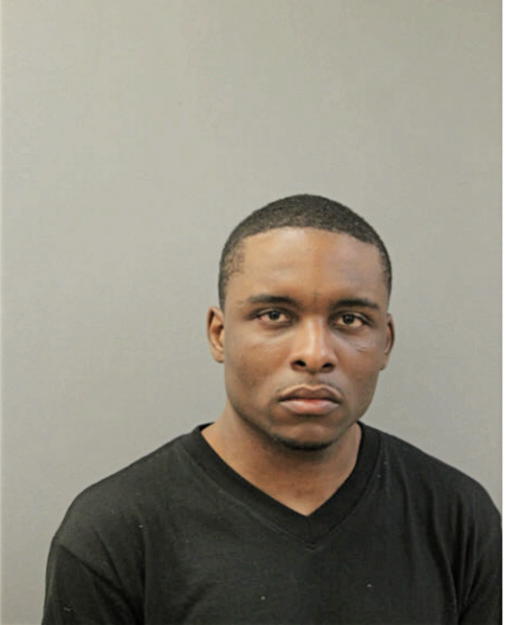 DANIEL L GUY, Cook County, Illinois