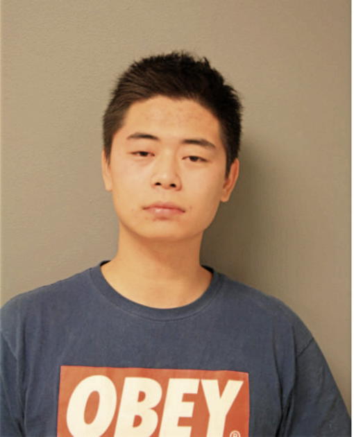 CHENG LI, Cook County, Illinois
