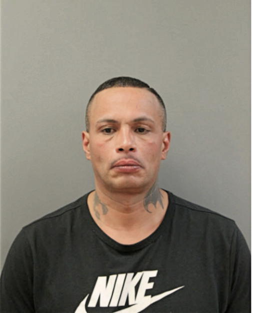 ELY S MARTINEZ, Cook County, Illinois