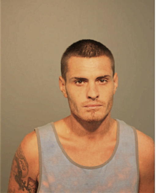 BRANDON SCOTT MUNOZ, Cook County, Illinois