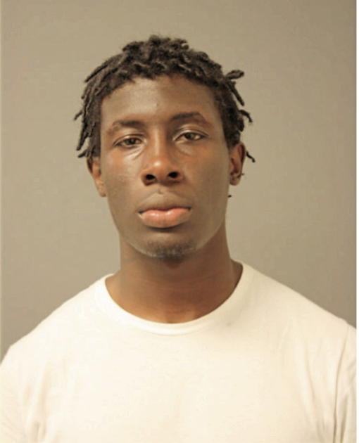 TYRELL L NEWTON, Cook County, Illinois