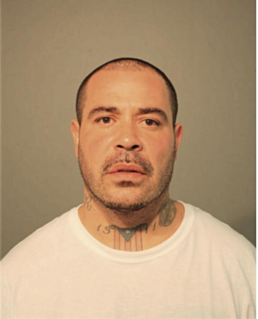 ALEXIS OLMO, Cook County, Illinois