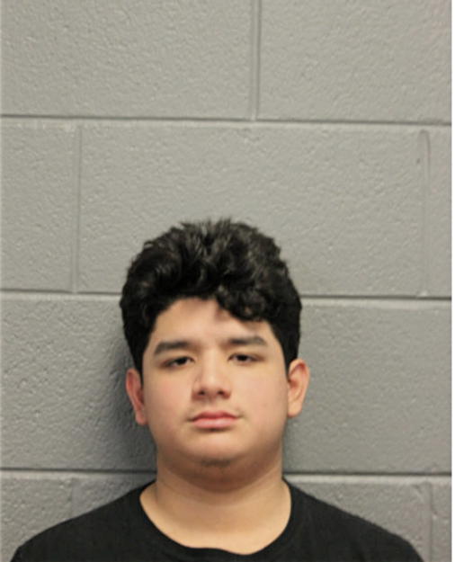 DAVID REYES, Cook County, Illinois