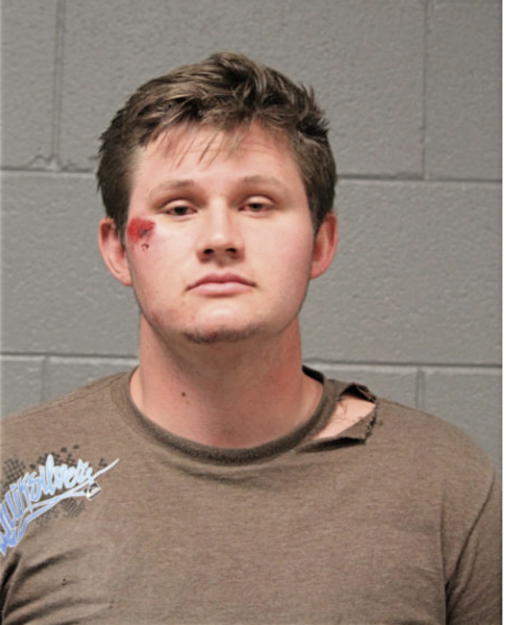 ROBERT J RYAN, Cook County, Illinois