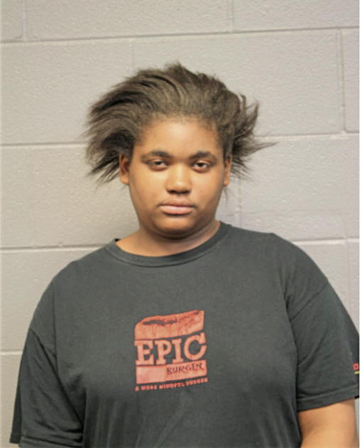 ARIEAL L SADDLER, Cook County, Illinois